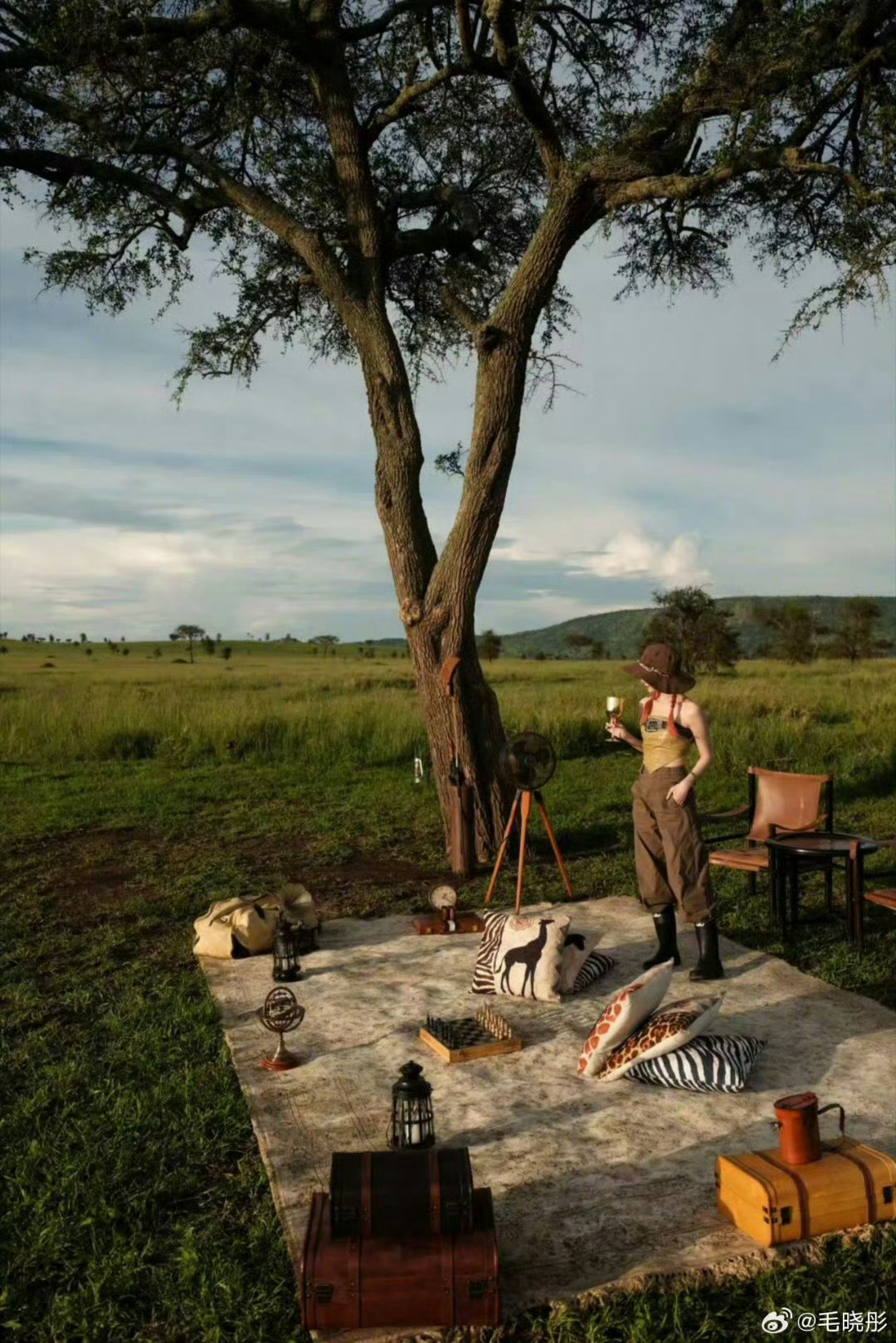 毛晓彤去了坦桑尼亚看狮子 打卡坦桑尼亚草原，在旷野间尽享自由～ 