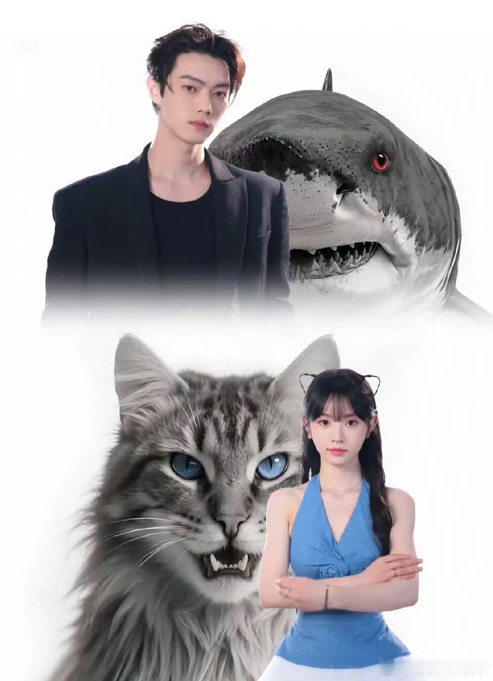 子夜归剧宣这是什么动物塑 许凯鲨鱼塑 田曦薇小猫塑 ​​​