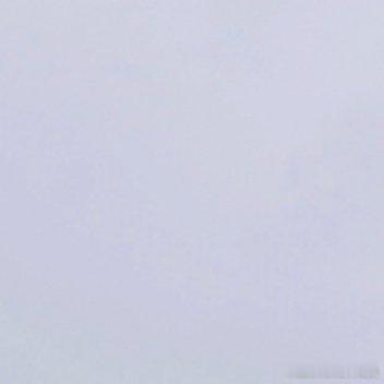 阳光信用泪水和汗水的化学成分相似，但前者只能为你换来同情，后则却可以为你赢得成功