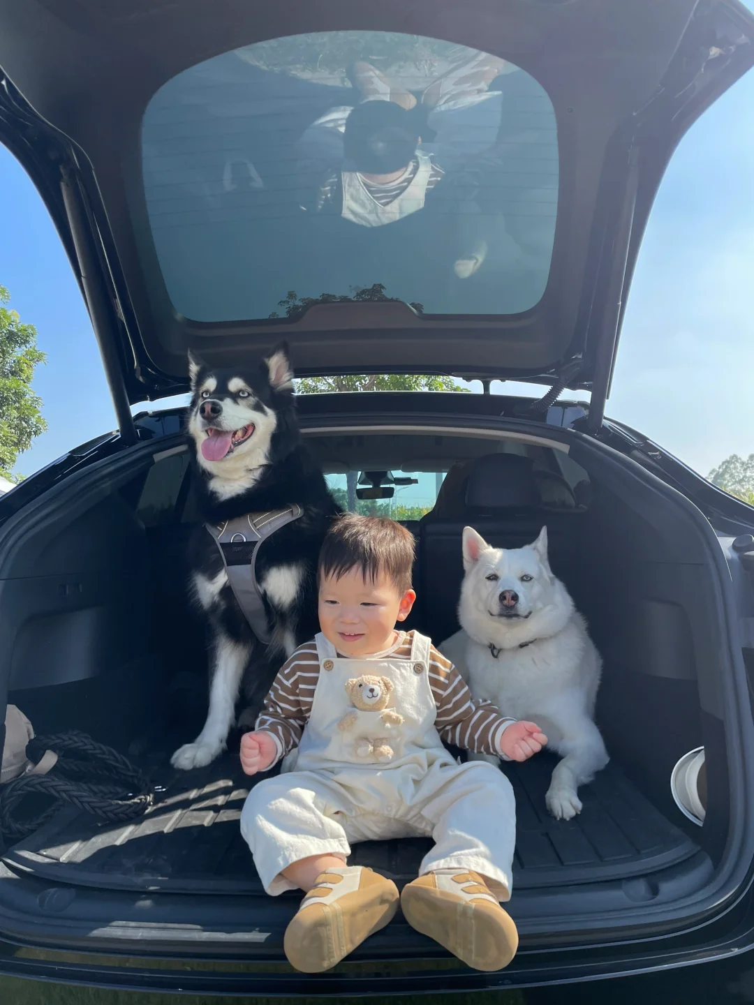 👶🏻托娃带狗🐶广州-杭州🚗自驾持续更新中