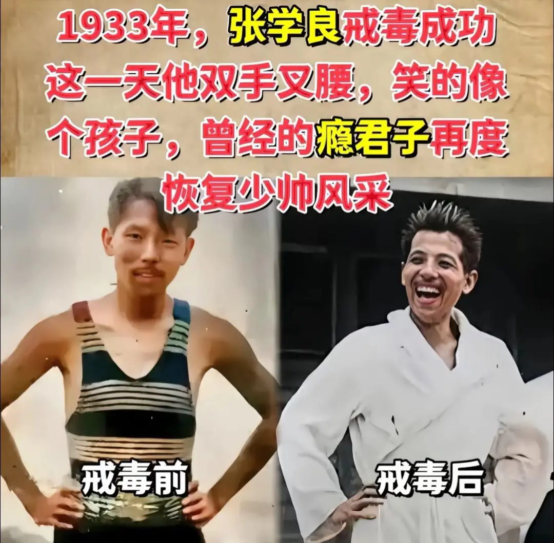 戒毒成功的少帅别提有多高兴了。