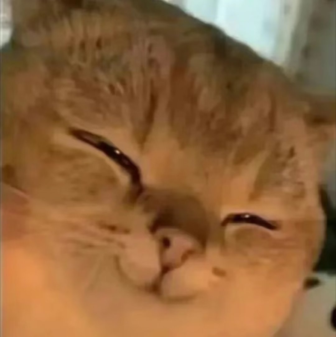 鹅鹅鹅鹅鹅～ 