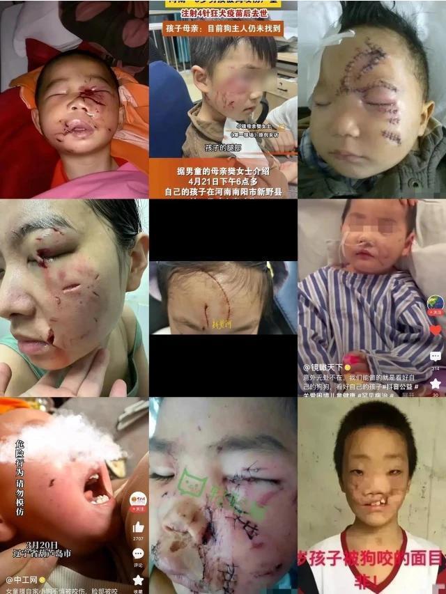 投大便吧，让狗吃一嘴屎回家亲亲[捂脸]不属于投毒[捂脸]用魔法打败魔法道德对抗道