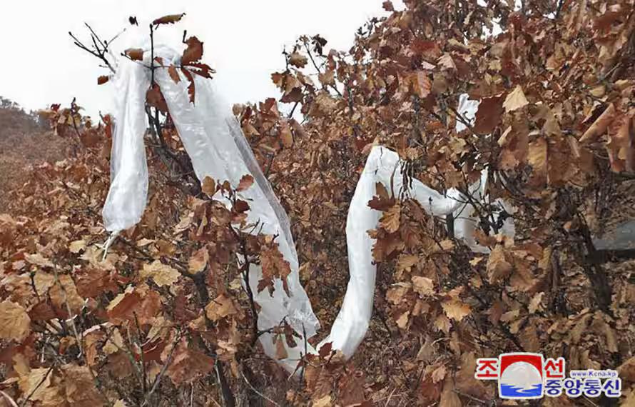 李在明就任后立场大转变！韩国统一部首度敦促反朝团体停止向朝鲜散发传单

6月9日