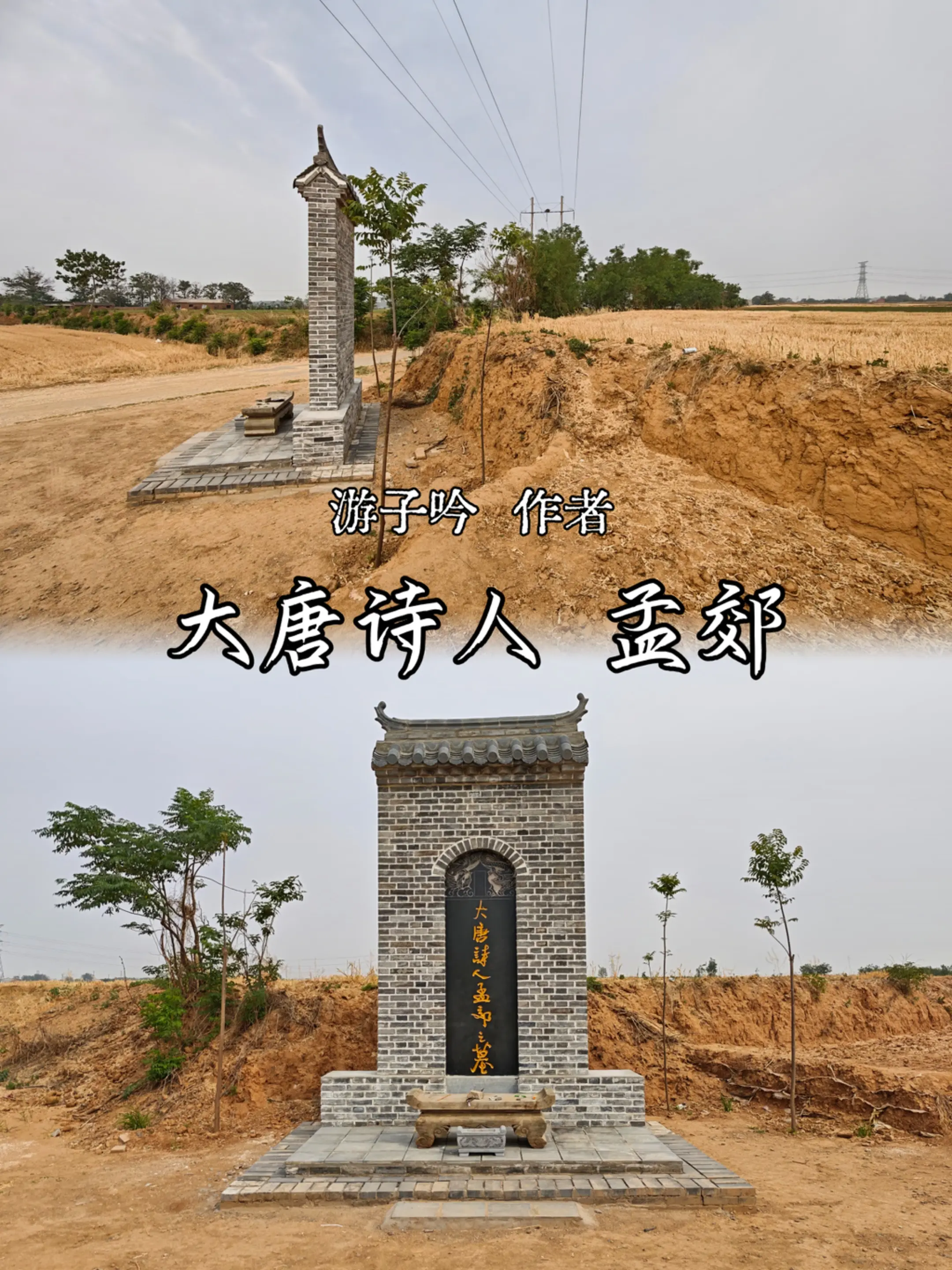 大唐诗人孟郊，游子吟的作者。孟郊（751年－814年），字东野，唐代著...