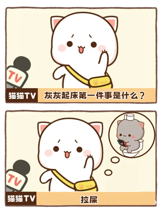 蜜桃猫在线控诉：灰灰是拉屎大王💩