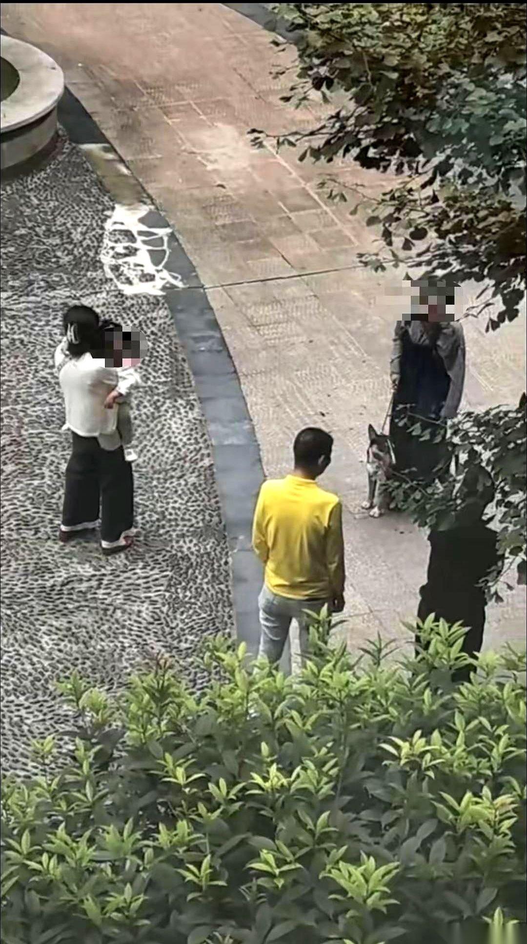 眉山发生狗咬人事件的小区里，平时街坊们碰上不拴绳、不戴嘴套的狗吆喝两句，换来的总