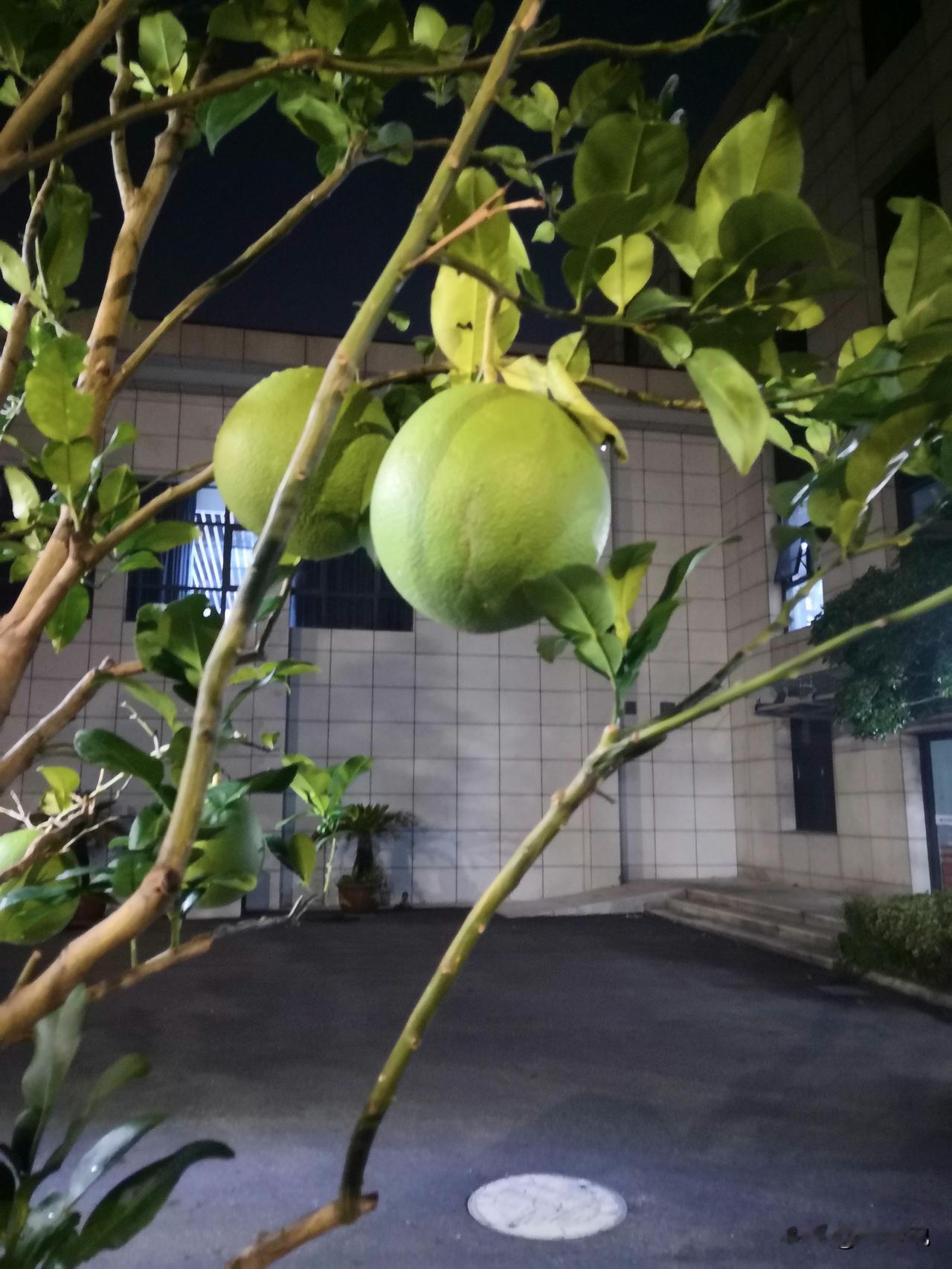 又是一年立秋时：成年人真正的秋收，是学会对自己做减法
 
人到一定年纪才慢慢读懂
