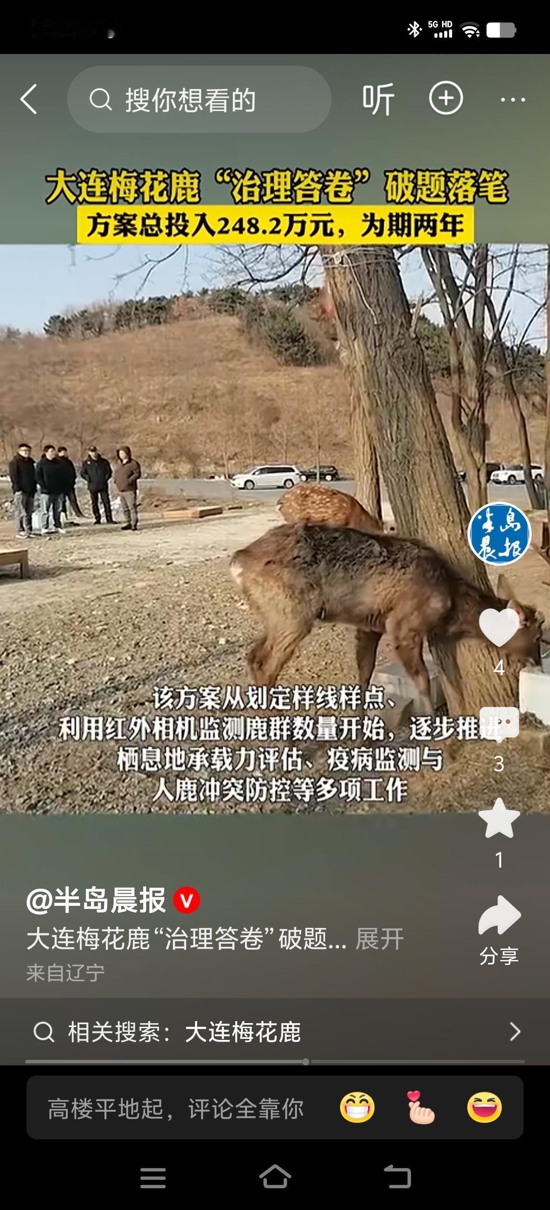 大连野生梅花鹿怎么治理最好
全国的野种梅花鹿也就是几千头吧，大连就有了两三百头，