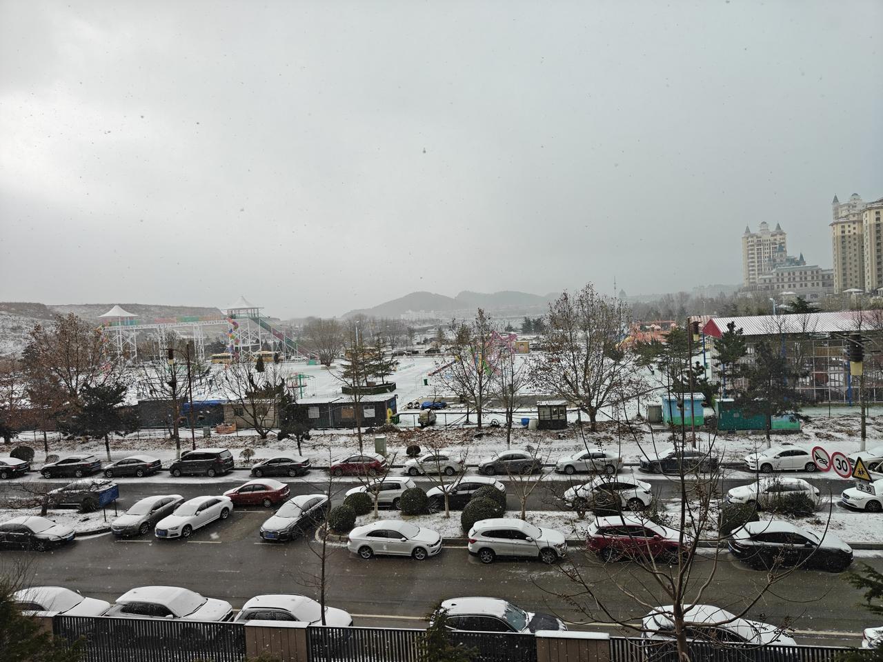 2026年的第一场雪，就这样飘飘洒洒的落在了大连半岛上。大连不像我的家乡牡丹江，