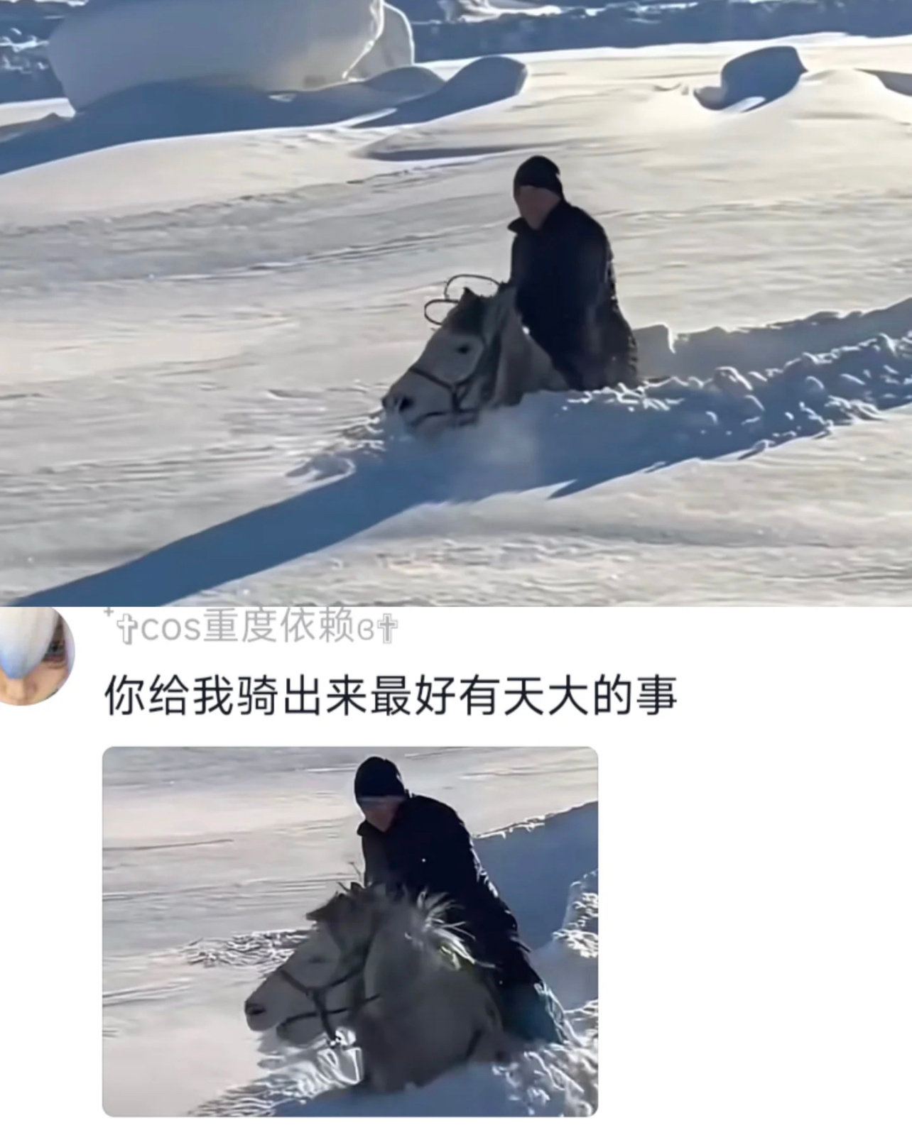 马：下雪天的，外边到底有谁在啊？ 