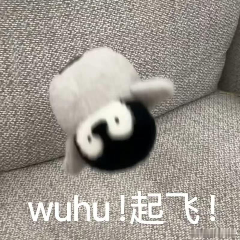 突然发现大家的吃商到了极致 同事带饭的配色比我外卖点的餐厅还好看，这吃商差距已经