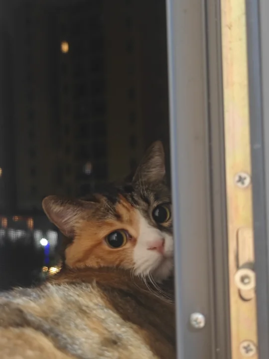 没忍住，戳了下屁股