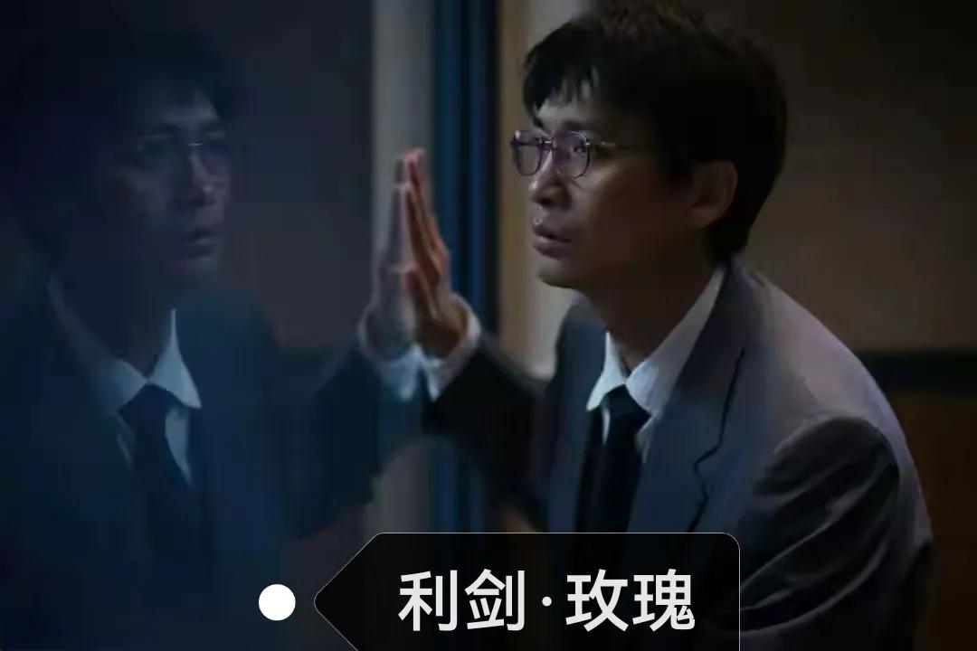 追剧《利剑·玫瑰》  律师孙文翰的儿子被红姨（本名洪金凤）拐走，是因为孙律师的防