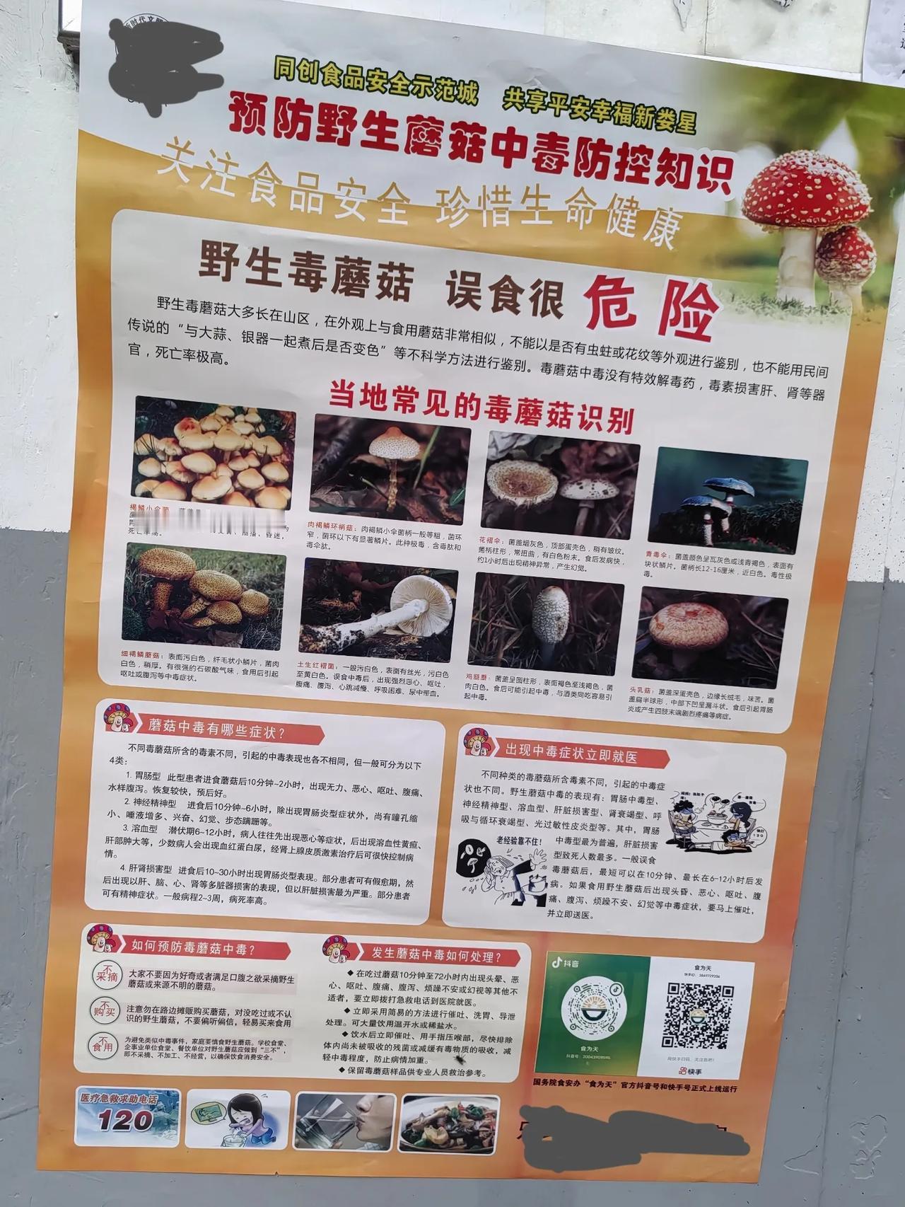 #万能生活指南#现在这个季节，又是蘑菇🍄上市的季节，但是有一种是野生的，叫毒蘑