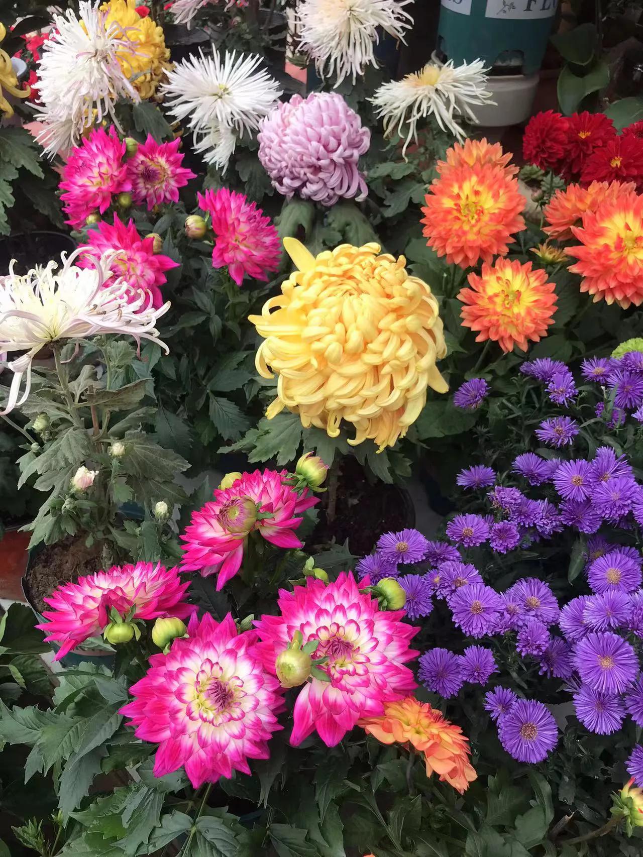 时间过的太快，转眼间我就71岁了，明年就是我的本命年，想想人的一生能过几个本命年