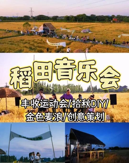 🌾深圳团建天花板！把场地扎进万亩稻田
往年团建：爬山徒步 + 聚餐尬聊​
今年