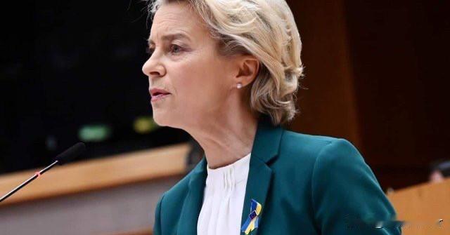 借鉴乌克兰经验！欧盟委员会主席冯德莱恩表示，侵犯欧盟领空是犯错，是一场旨在分离欧