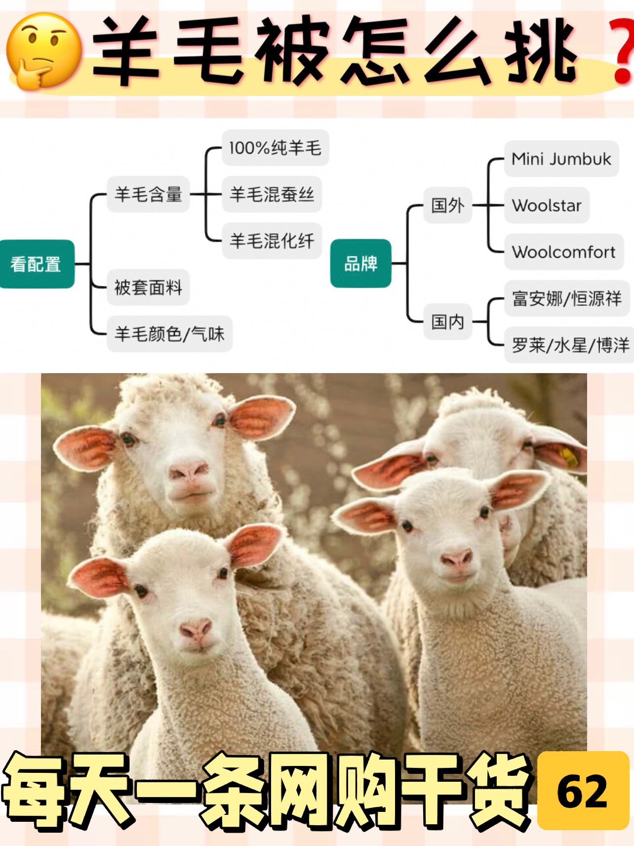 羊毛被怎么挑❓记住这4点👇👇不踩坑