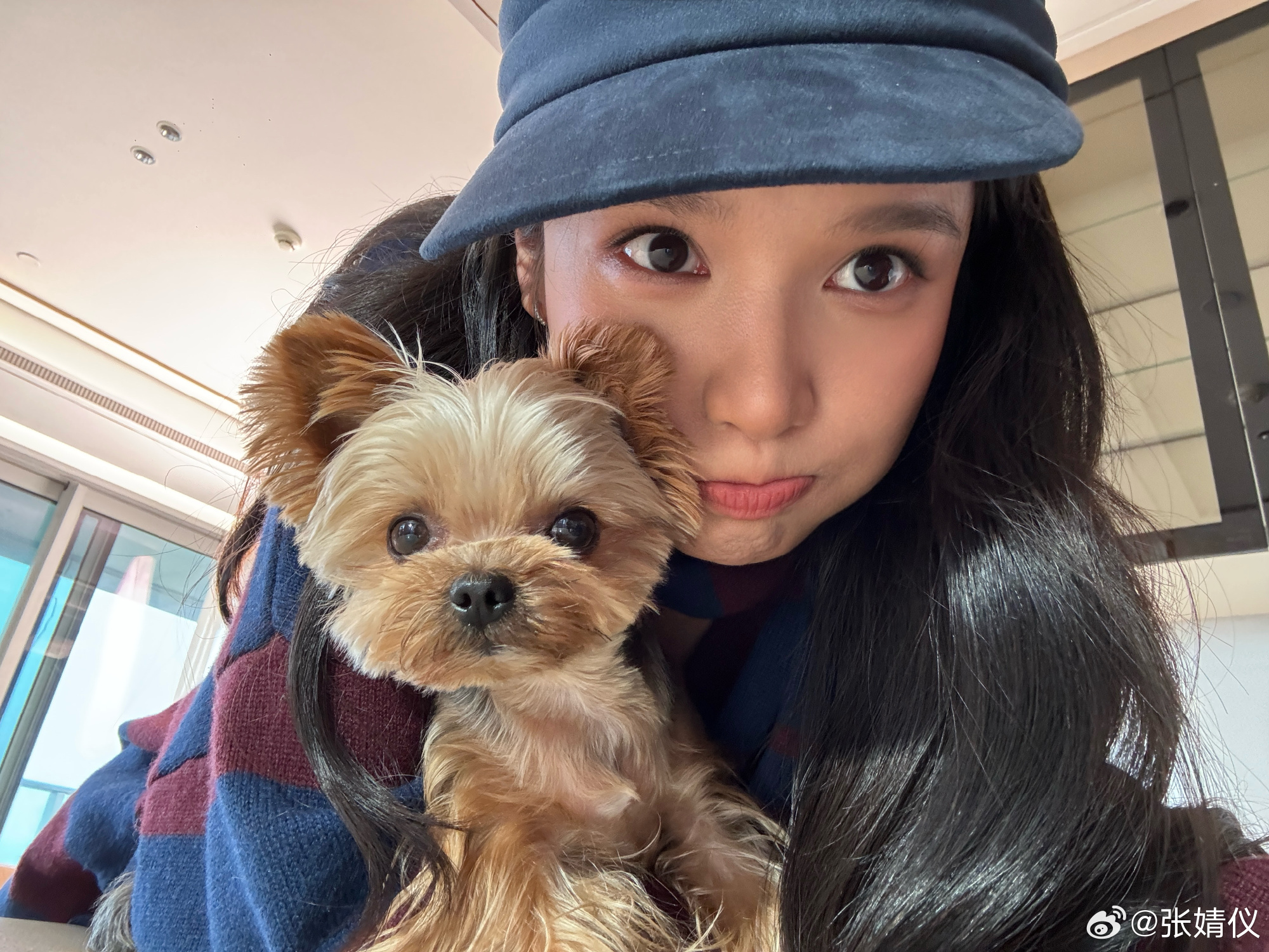 张婧仪 谁说演员不能看镜头 这就是演员的魅力啊！这张脸真的美。 