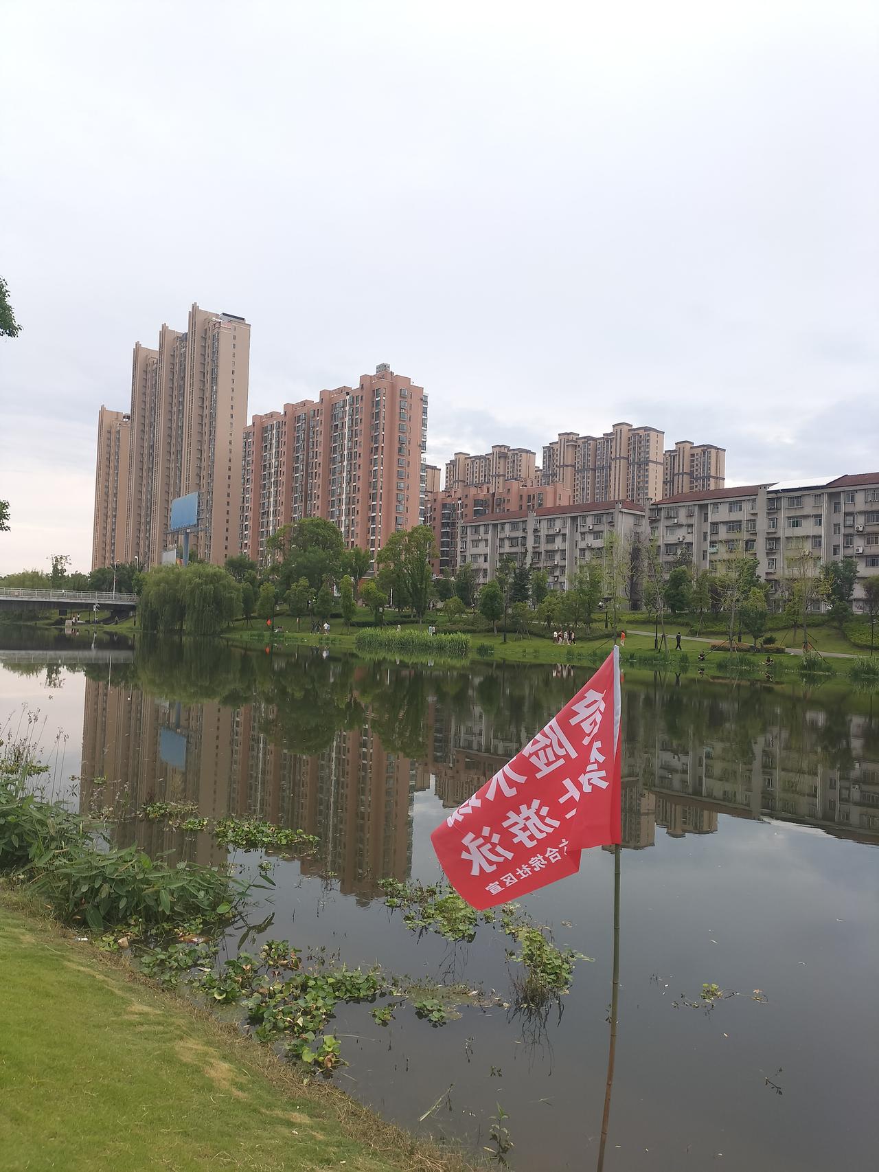 分享我实拍的城市绿洲，静享自然之美。我的家乡的小河，河水悠悠流淌，每天早晚在河边