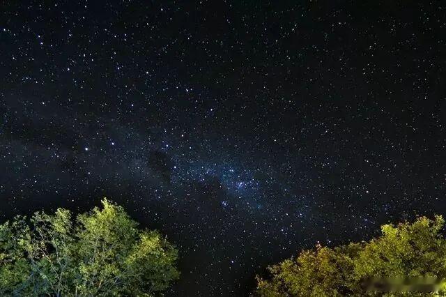 树木为框，星空为幕，邂逅山野独有的浪漫夜色