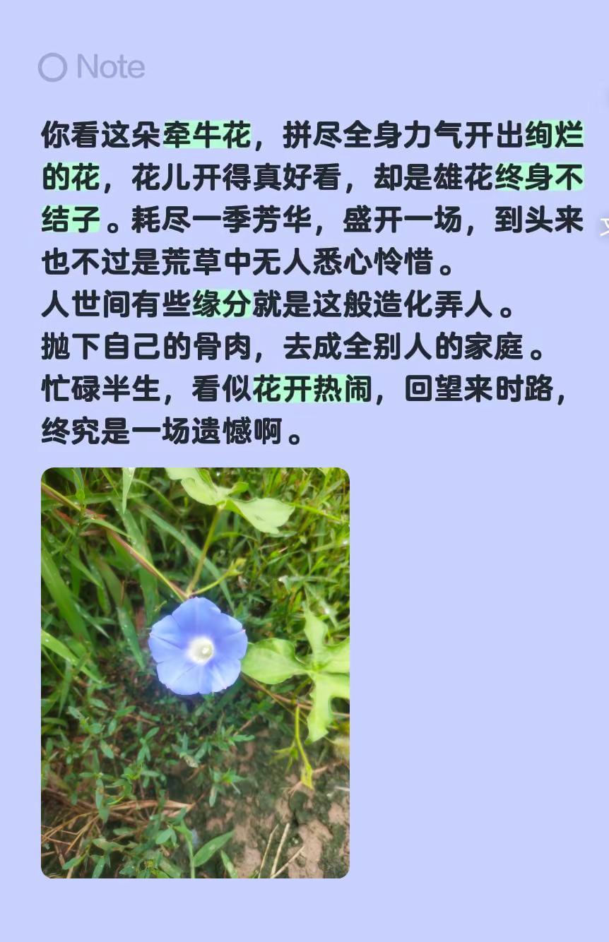 情感人生。人生感悟 情感人生路