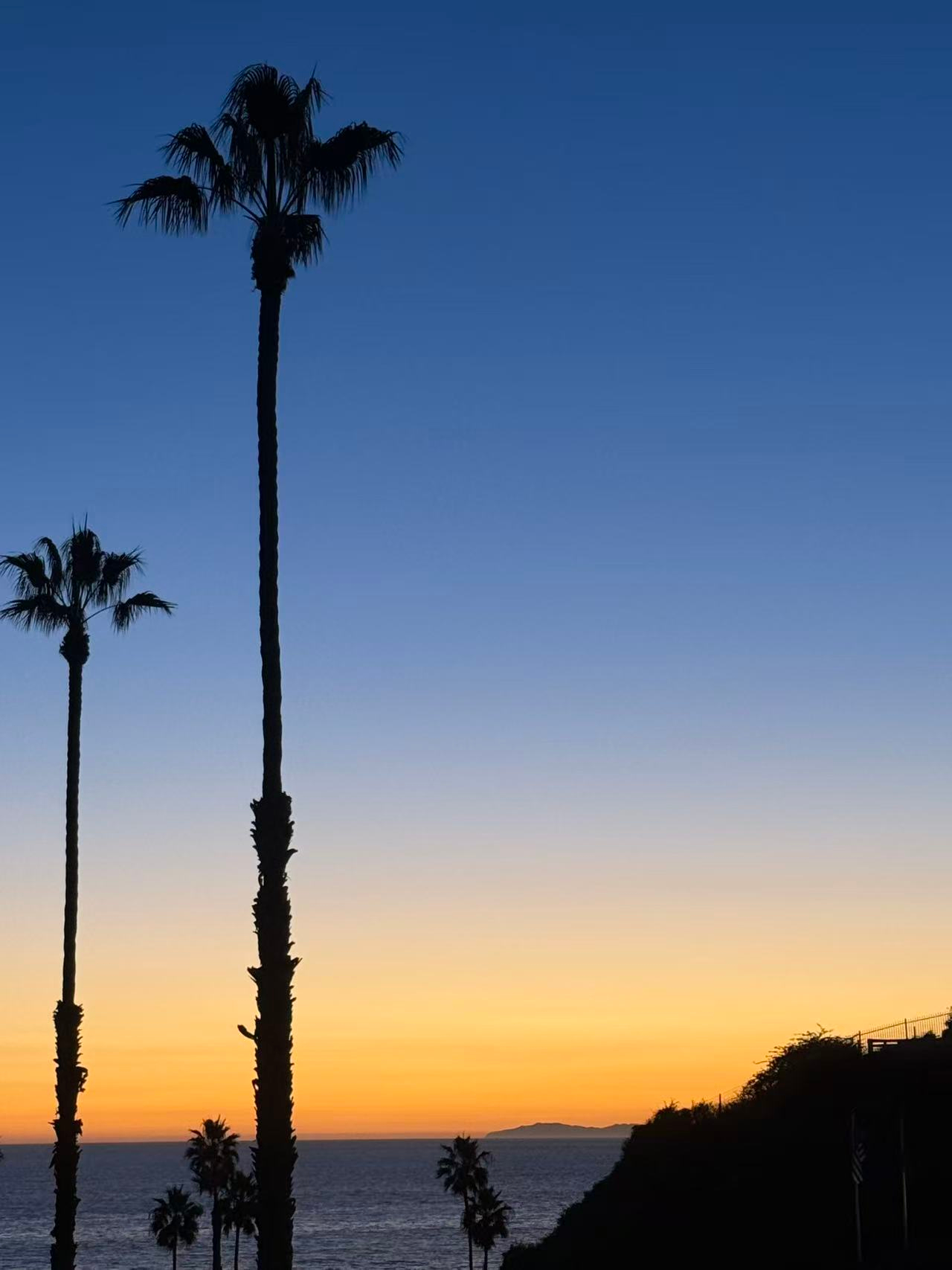 新年快乐 美国·Cosmopolitan The Strip Las Vegas