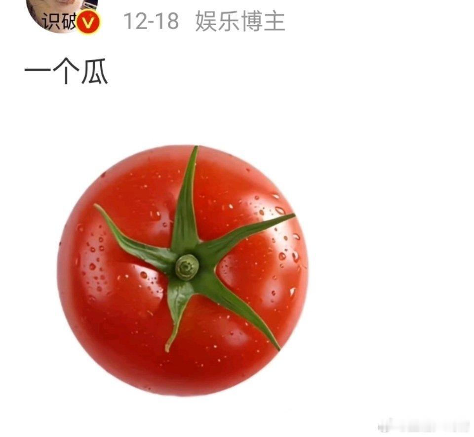 俺一早就爆瓜了，现在没有一个人过来感谢我，其他瓜主那里一片喜气洋洋，就俺这还被骂