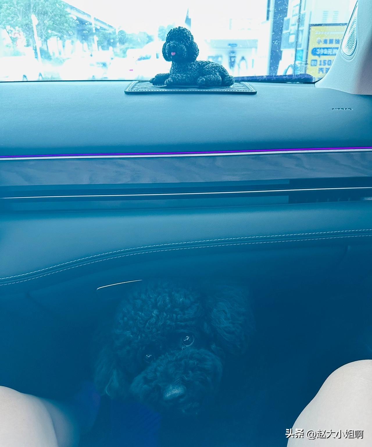 据我观察大部分00后对学车都排斥。
只有一小部分零零后对学车感兴趣。
昨天在二手