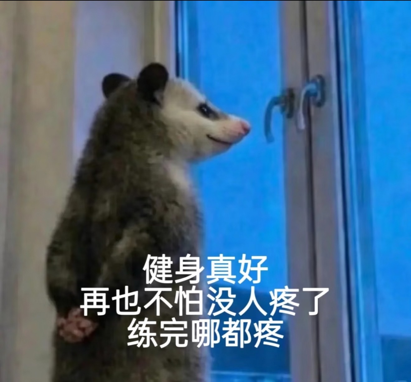 我教练现在完全捧杀今天练臀腿，我：不行了教练：很棒啊！我：真的不行了教练：真的很