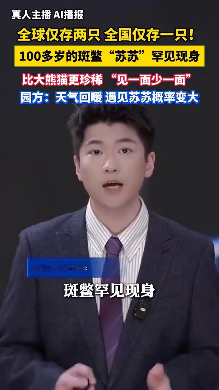 全球仅存两只，全国仅存一只。
实习主播孙嘉晟。
全球仅存两只，100多岁的斑鳖"