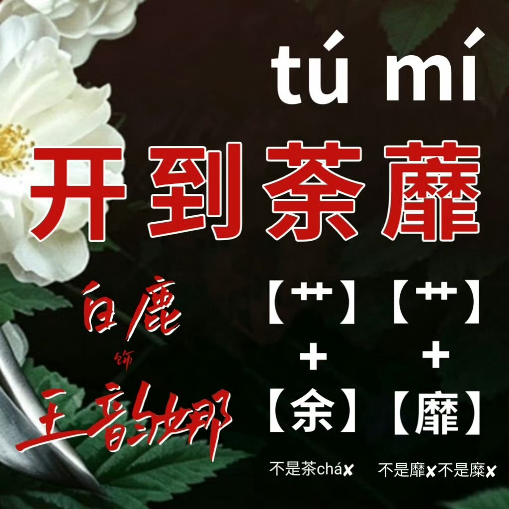 白鹿完全王韵娜晕呐晕呐晕呐开到荼蘼王韵娜 
