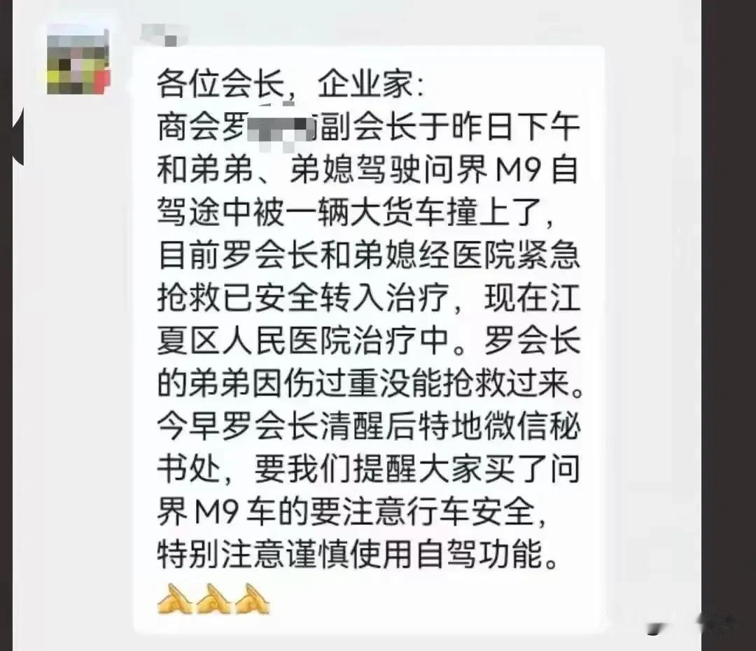 被追尾跟追别人差别太大了吧！
就算是有AEB，也是主动刹车，辅助驾驶也是强调主动