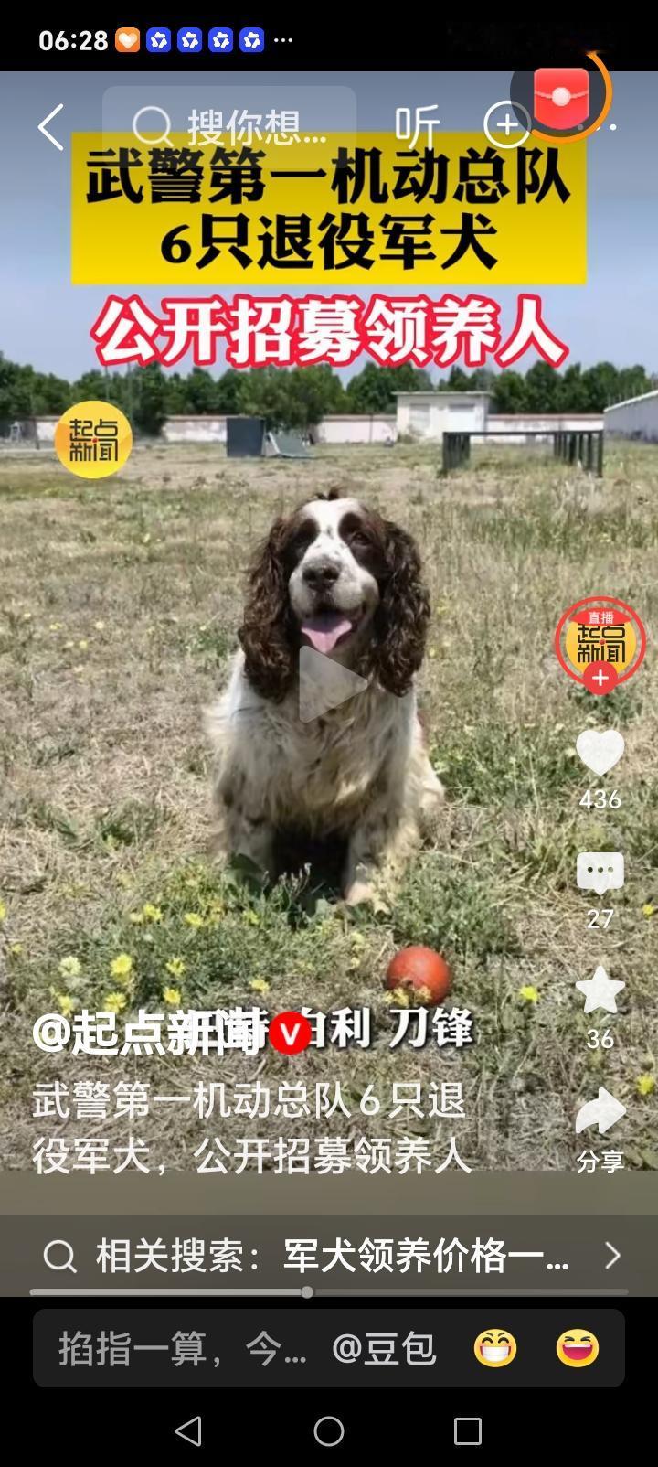 朋友们好消息来了近日，武警第一机动总队公开招募退役军犬领养人。共有六只退役军犬都