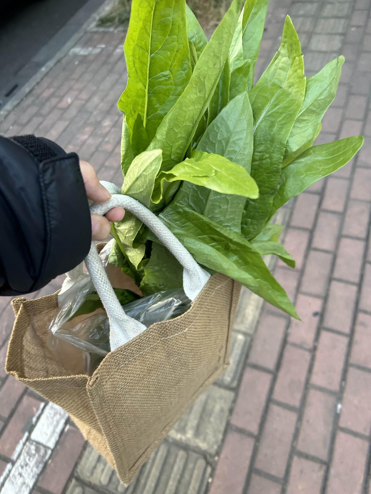 去买菜的路上看见夕阳照在花上很漂亮，很温暖。