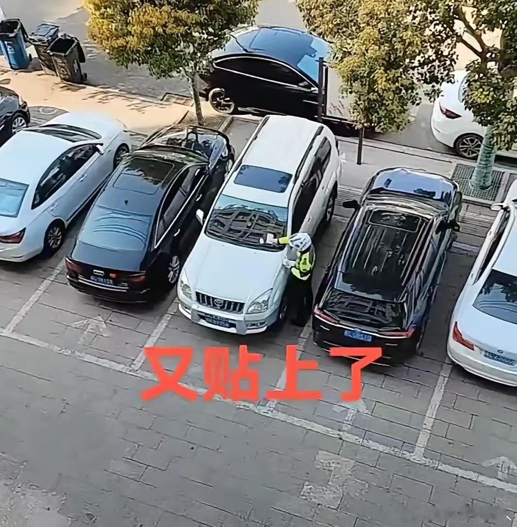 网友：这辆车的停放，存在什么问题吗？ ​​​