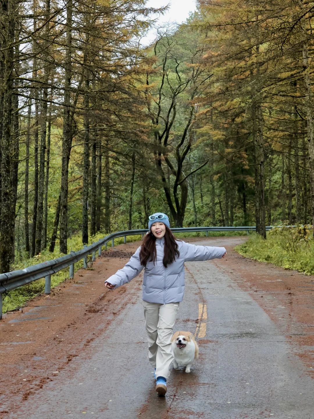 西安周边｜这里满足我对秋天的所有幻想🍂