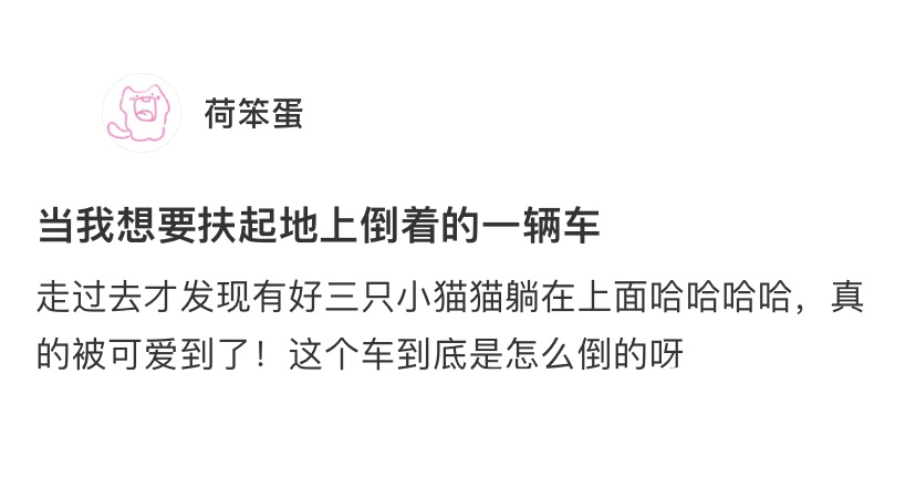 报告：小猫合伙撞倒了电动车怎么判[doge] ​​​