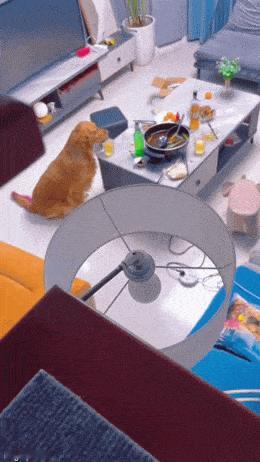 狗子：我是没想到啤酒后劲这么大 ​​​