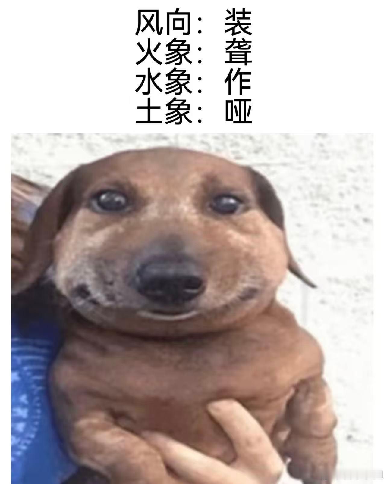 十二星座 四象星座四宗罪be like： ​​​