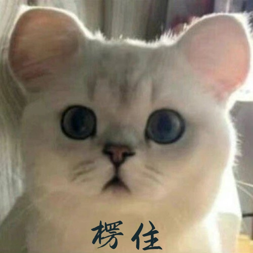 冒昧的问一句，姐说的apt是啥？