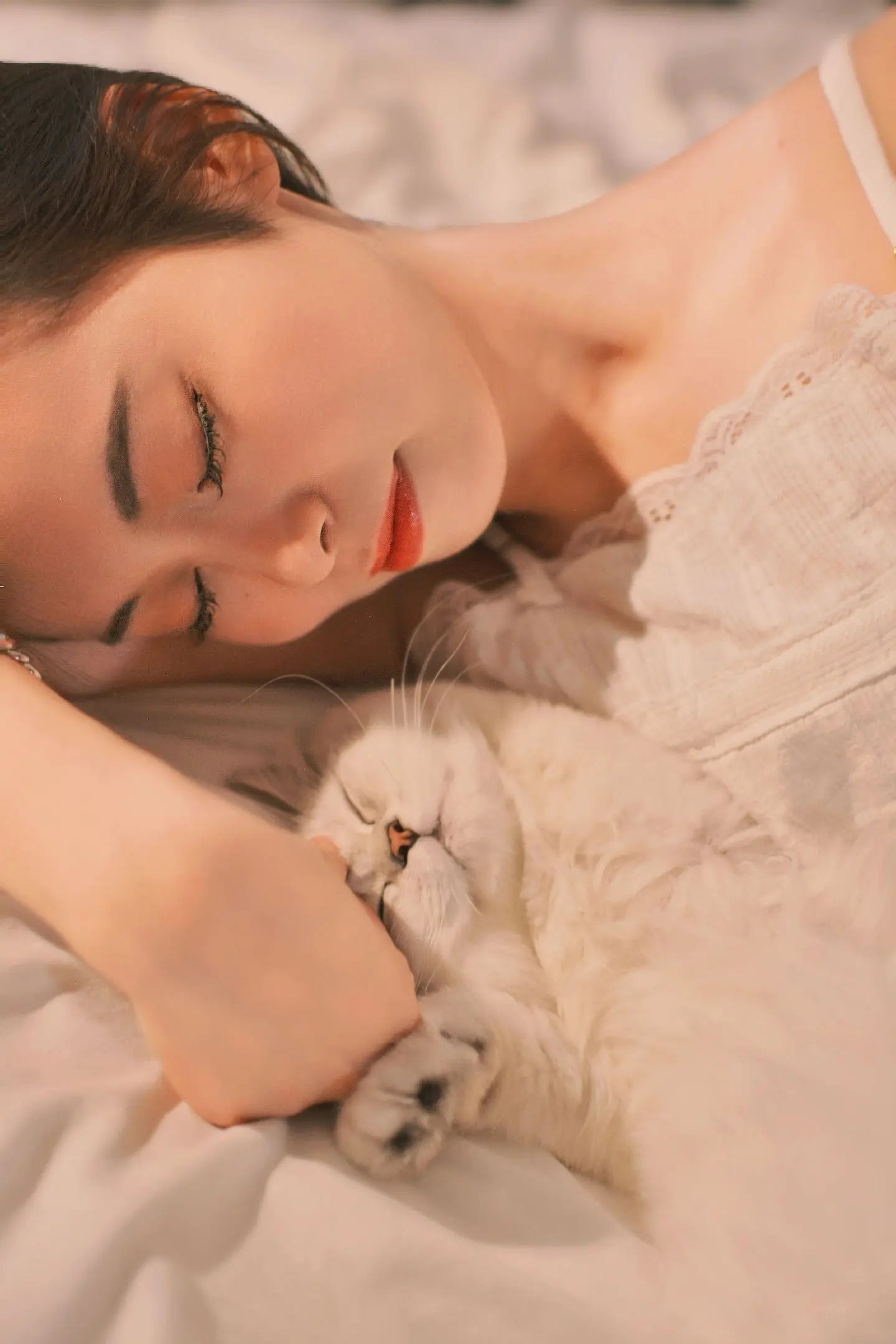 想和猫咪一起睡觉