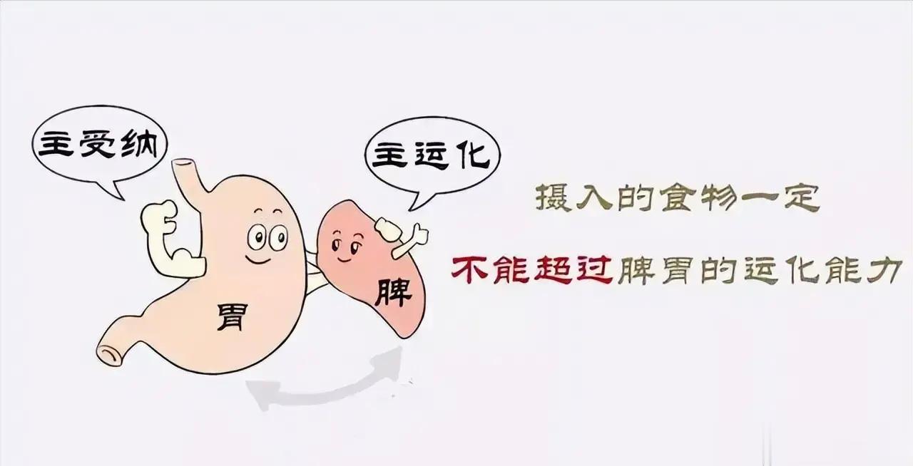 胃以通为补，脾以健为运现代城市人普遍吃的多，运动少，工作压力大，心情抑郁多见，容