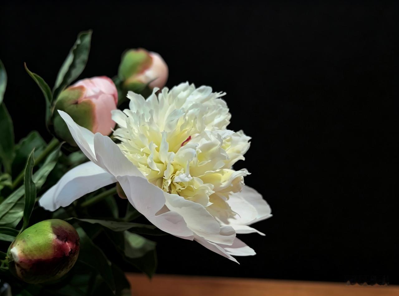 七绝·忠魂归
——记志愿军忠烈荣归故土
保家为国跨过江，
忠骨奈何埋战场。
春雨