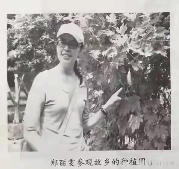 郑丽文是回过云南镇沅县振太镇老家的。紫马街八角亭是滇军将领李英的故居，李英曾任滇