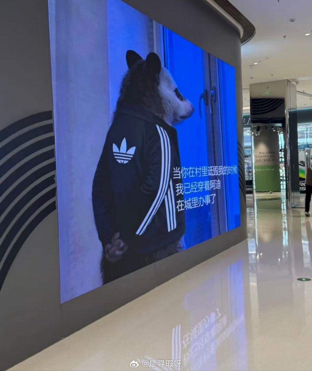 每天就被这个破老鼠逗得哈哈笑穿adi办das 