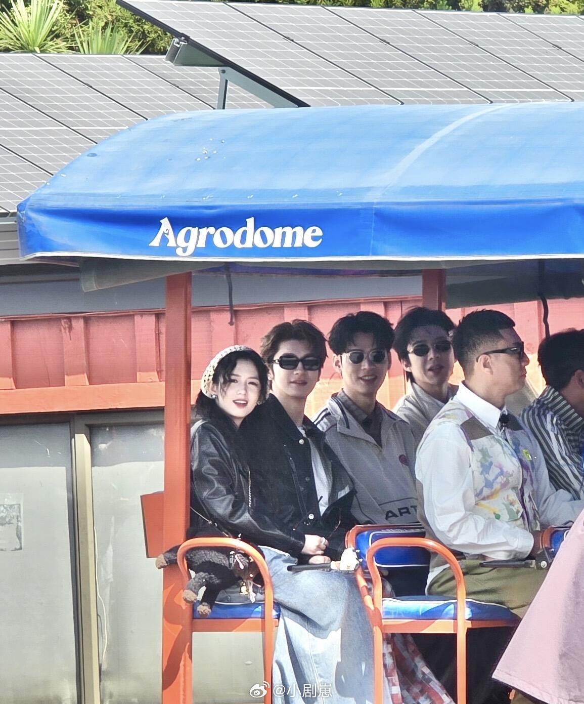 好萌的wifi四人最后一排的四个宝宝坐得就像wifi一样好可爱呀地球超新鲜‖地球