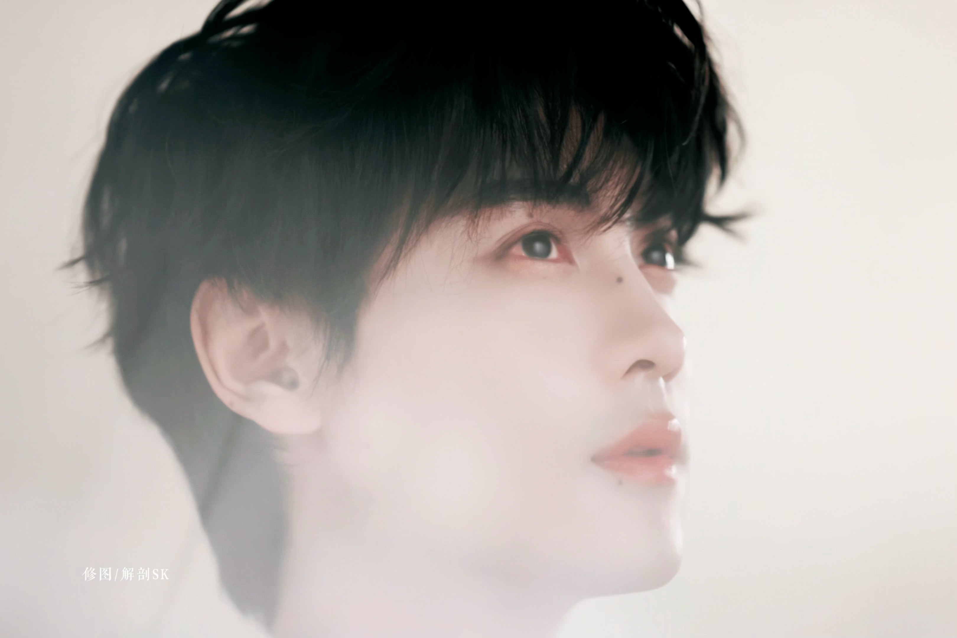 🌸花香入梦来～田栩宁半亩花田品牌代言人