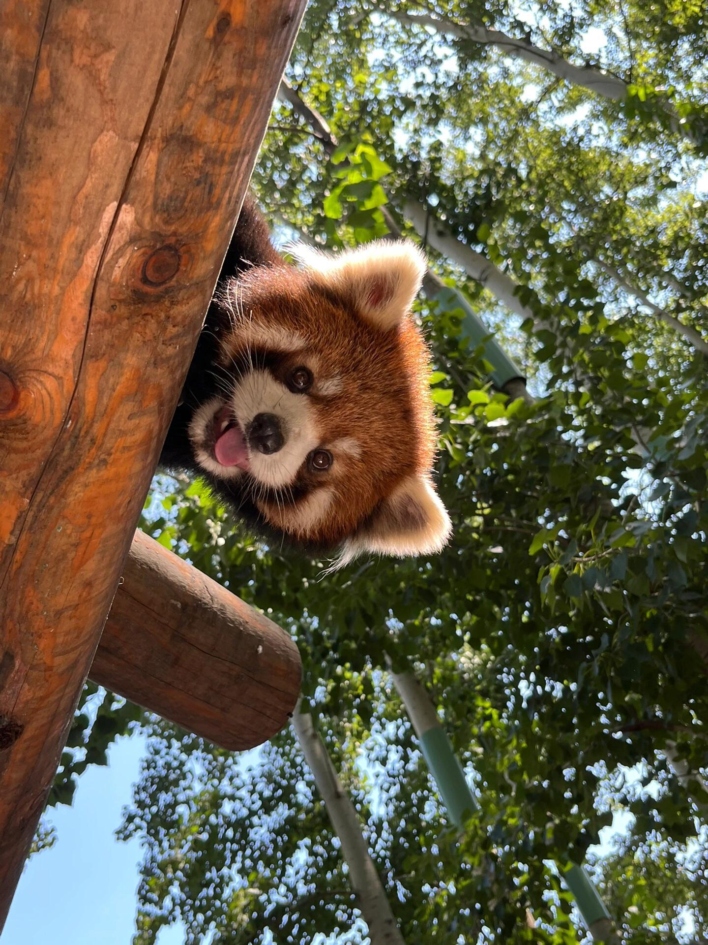 一些觉得地球超级可爱的瞬间[抱一抱]世界地球日春日放个疯遇见春天 ​​​